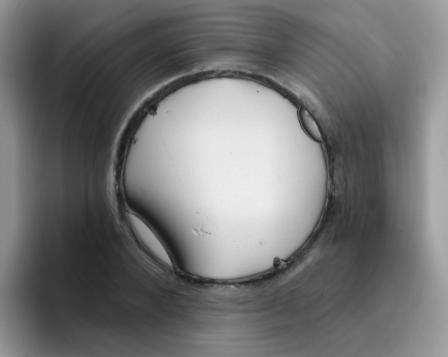 X0000095920880200802081111