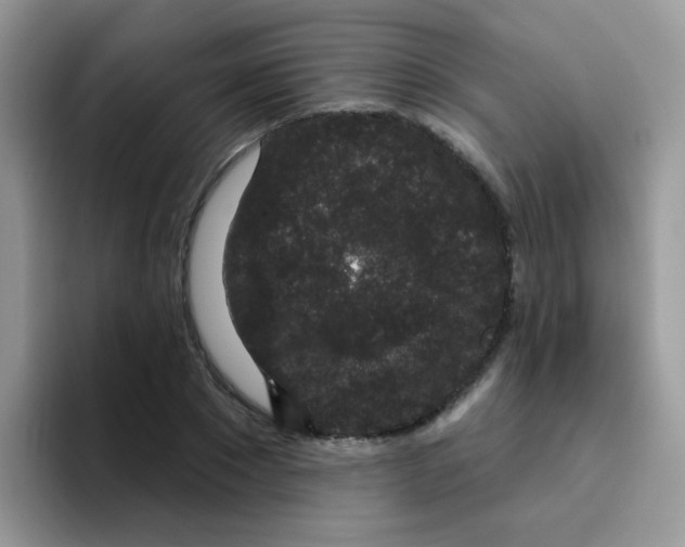 X0000095920881200802081111