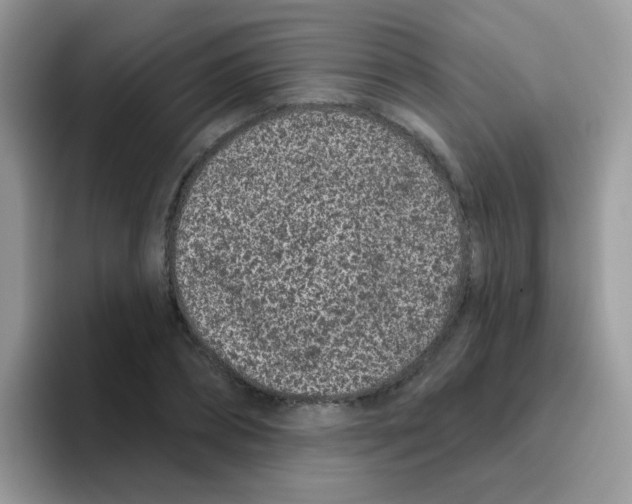 X0000095920882200802081111