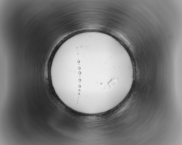 X0000095920883200802081111