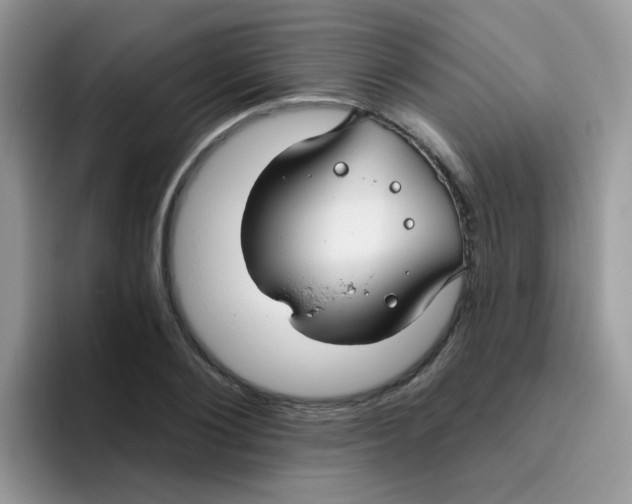 X0000095920884200802081111