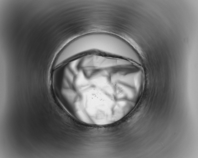 X0000095920885200802081111