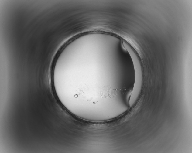 X0000095920888200802081111