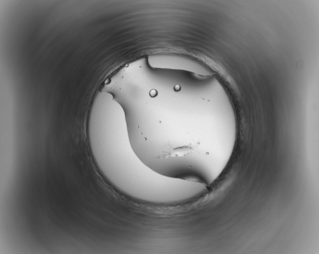 X0000095920889200802081111