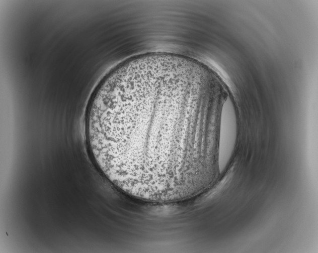 X0000095920891200802081111