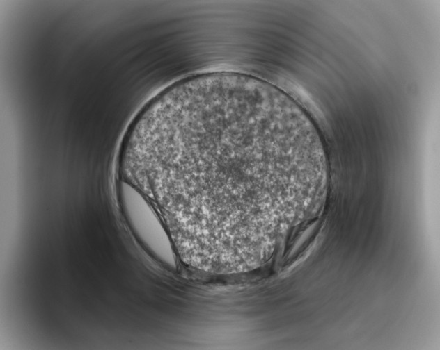 X0000095920892200802081111