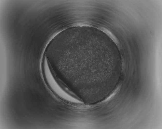 X0000095920893200802081111