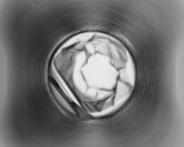 X0000095920894200802081111