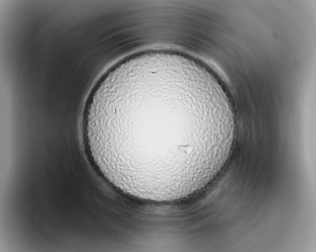 X0000095920895200802081111