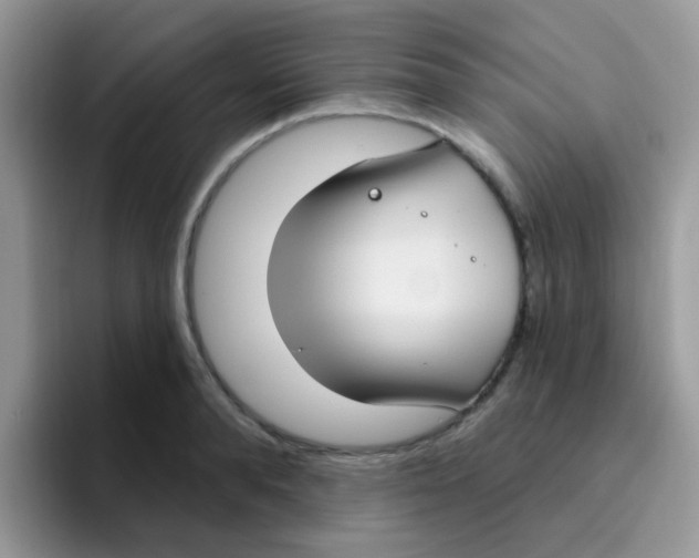 X0000095920896200802081111