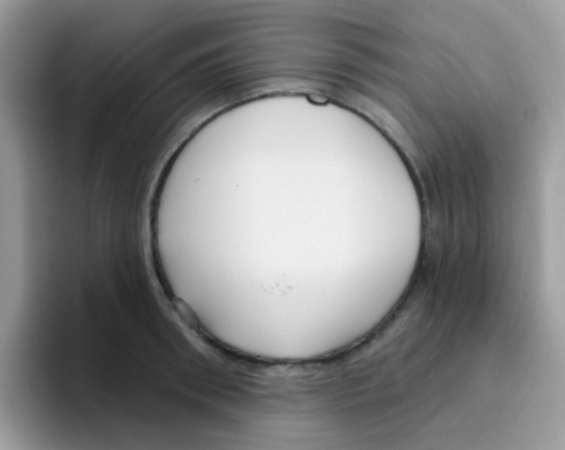 X0000095920898200802081111