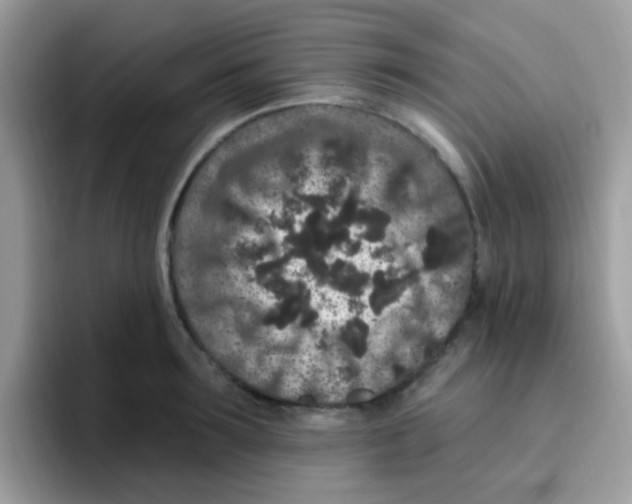 X0000095920899200802081111