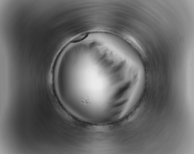 X0000095920900200802081111