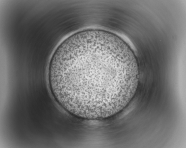 X0000095920903200802081111