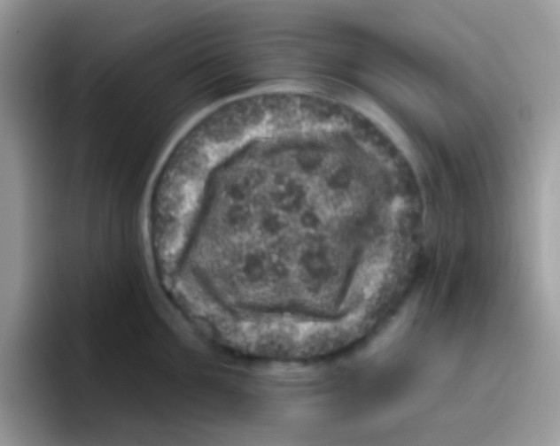 X0000095920907200802081111