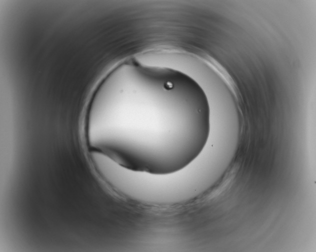 X0000095920909200802081111