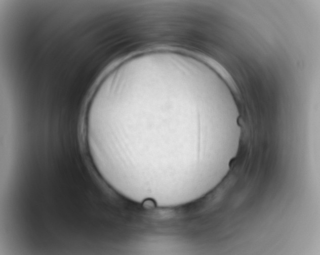 X0000095920911200802081111