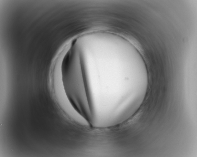 X0000095920912200802081111