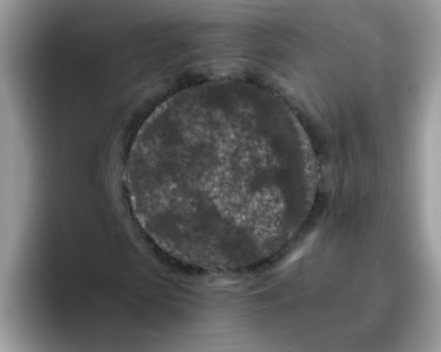 X0000095920913200802081110