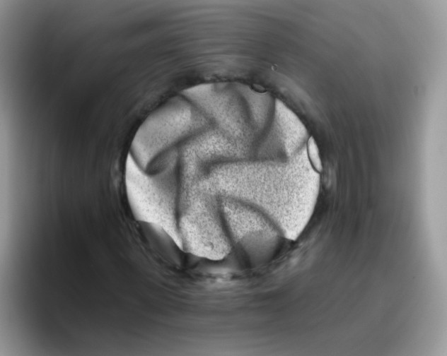 X0000095920915200802081110