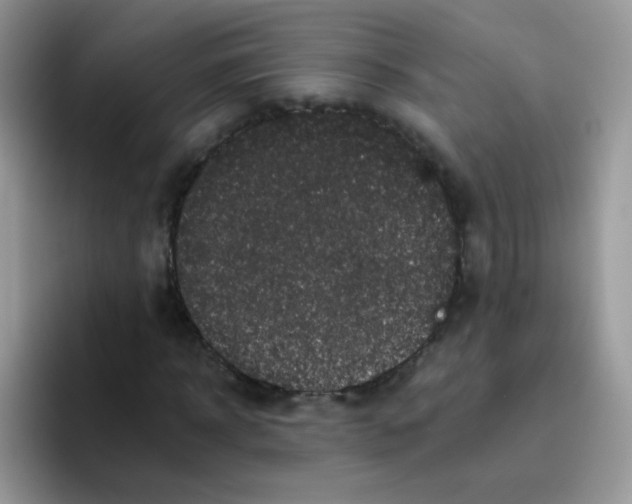 X0000095920918200802081110