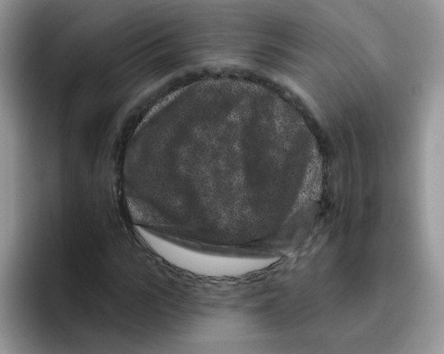 X0000095920919200802081110