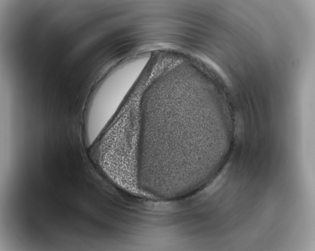 X0000095920921200802081110