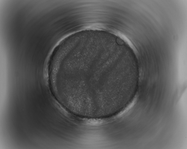 X0000095920923200802081110