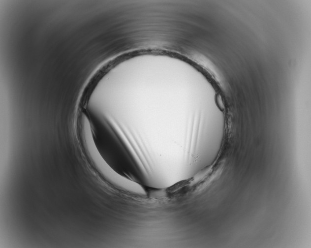 X0000095920924200802081110