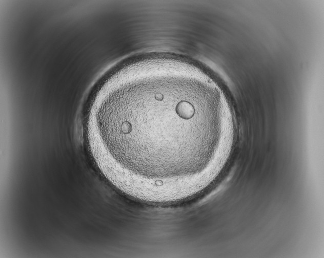 X0000095920925200802081110