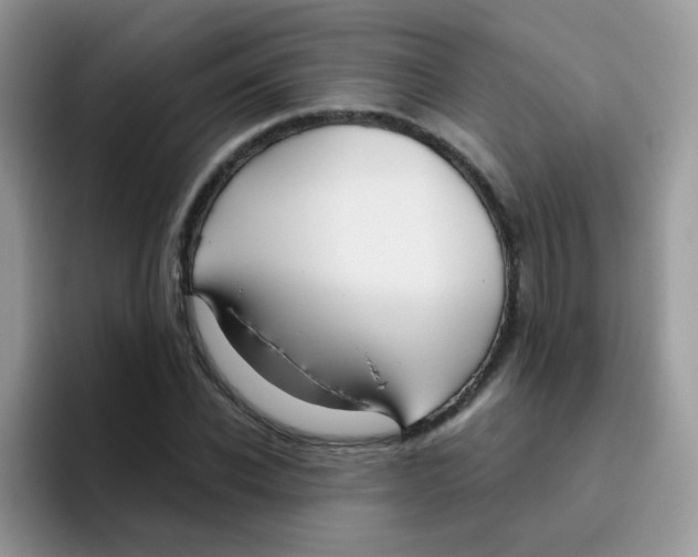 X0000095920926200802081110