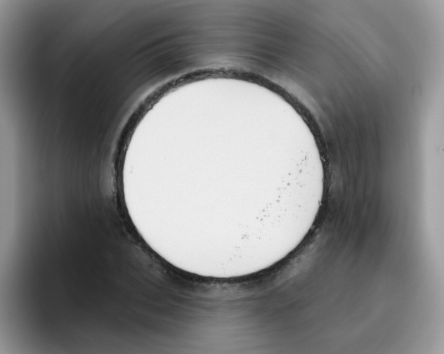 X0000095920927200802081110