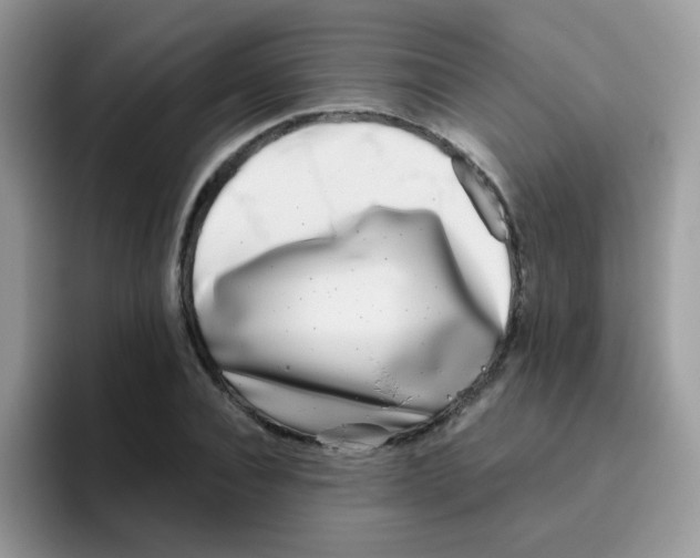 X0000095920928200802081110