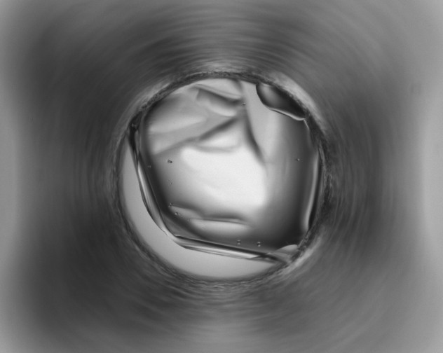 X0000095920930200802081110