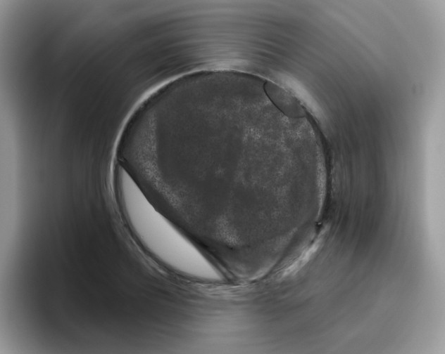 X0000095920932200802081110