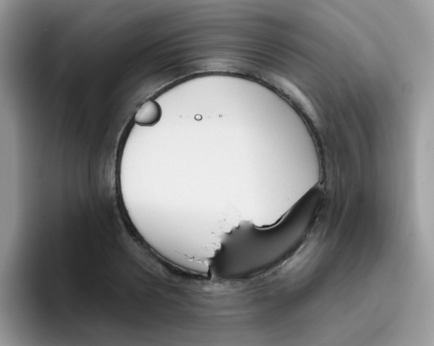 X0000095920938200802081110