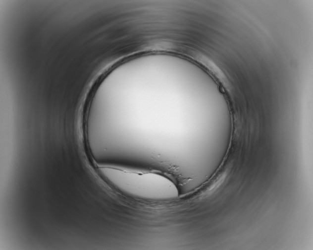 X0000095920939200802081110