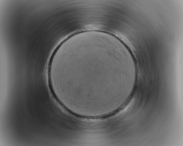 X0000095920941200802081110