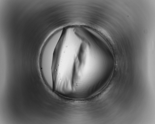 X0000095920942200802081110