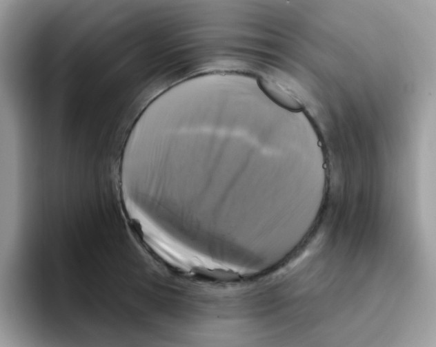 X0000095920945200802081110