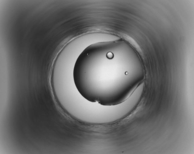 X0000095920946200802081110