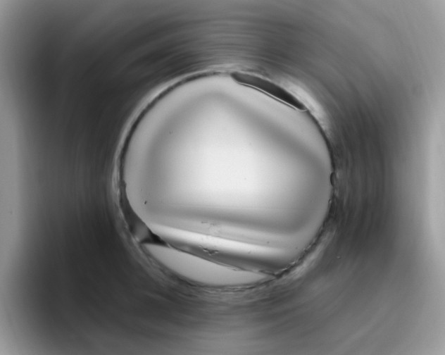 X0000095920948200802081110