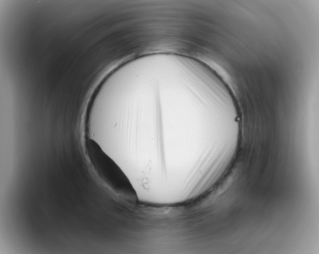 X0000095920949200802081110