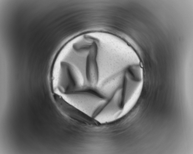 X0000095920951200802081110