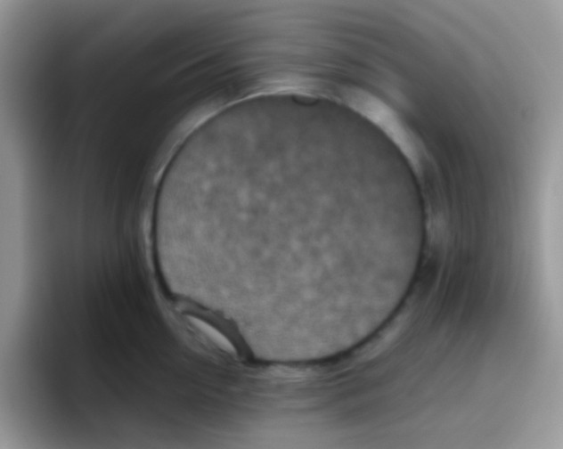 X0000095920954200802081110