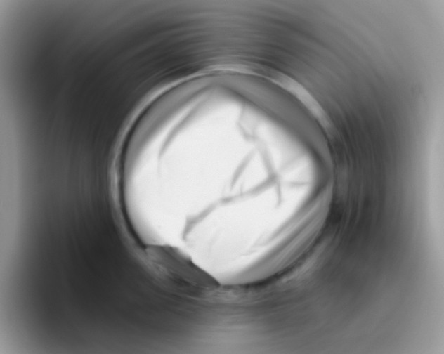 X0000095920955200802081110