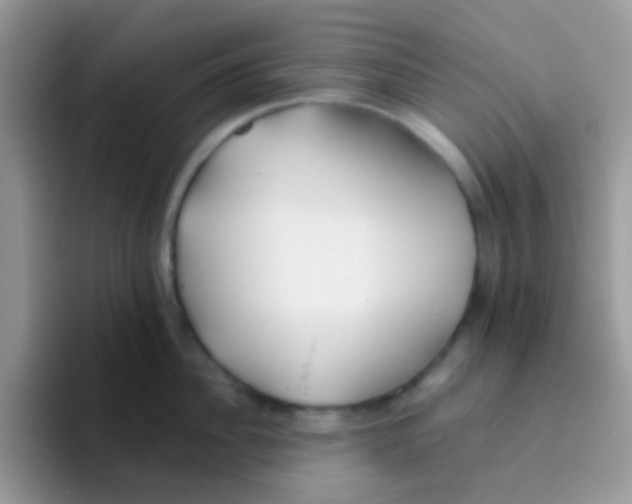 X0000095920956200802081110