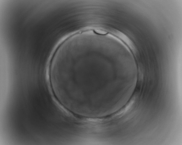 X0000095920958200802081111