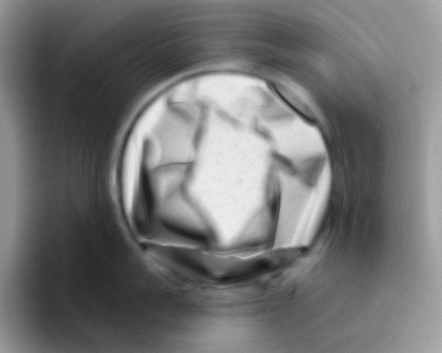 X0000095920959200802081111