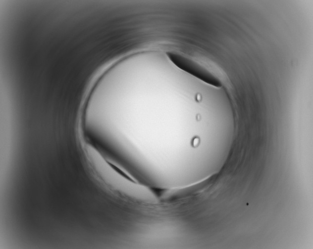 X0000095920960200802081111